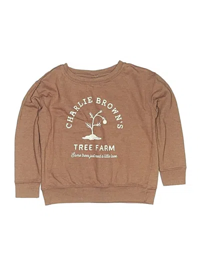 Pre-owned Assorted Brands Kids' Pullover Sweater In Brown