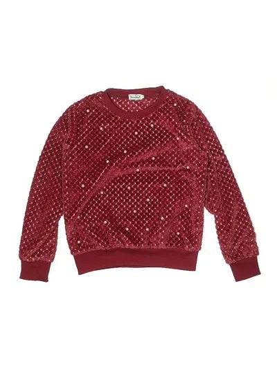 Pre-owned Assorted Brands Kids' Pullover Sweater In Burgundy