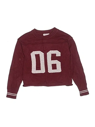 Pre-owned Assorted Brands Kids' Pullover Sweater In Burgundy