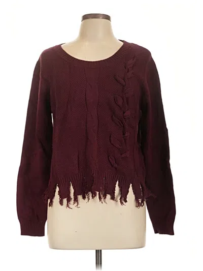 Assorted Brands Pullover Sweater In Burgundy
