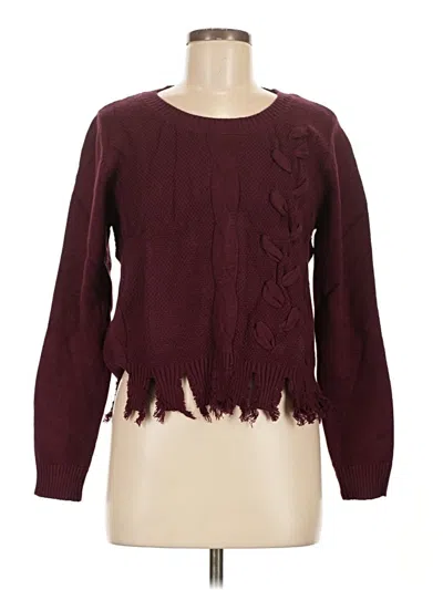 Assorted Brands Pullover Sweater In Burgundy