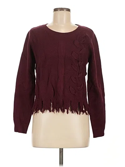 Assorted Brands Pullover Sweater In Burgundy