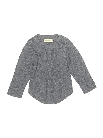 Pre-owned Assorted Brands Babies' Pullover Sweater In Gray