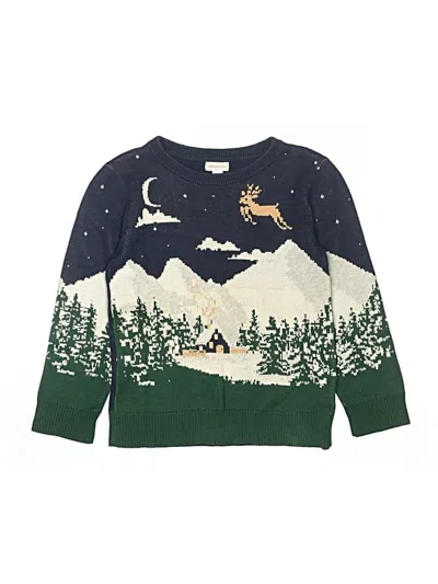 Pre-owned Assorted Brands Kids' Pullover Sweater In Green