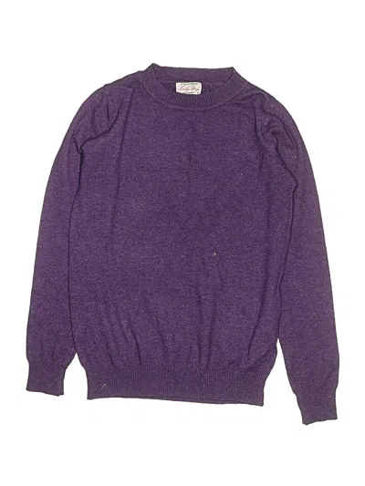 Pre-owned Assorted Brands Kids' Pullover Sweater In Purple