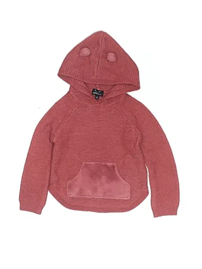 Pre-owned Assorted Brands Kids' Pullover Sweater In Red