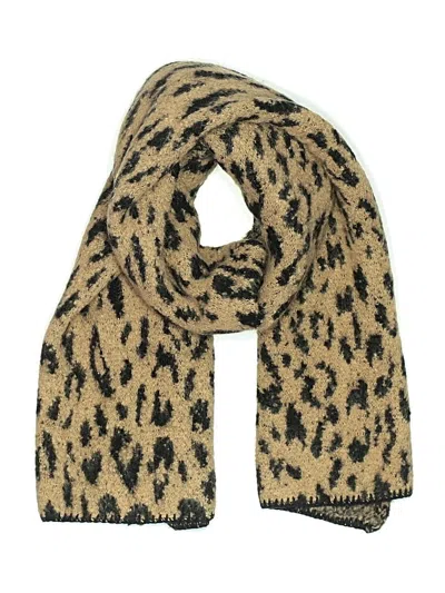 Assorted Brands Scarf In Brown