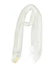 Assorted Brands Scarf In White