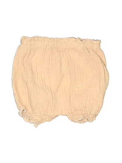 Pre-owned Assorted Brands Babies' Shorts In Brown