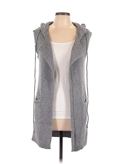 Assorted Brands Sweater Vest In Gray