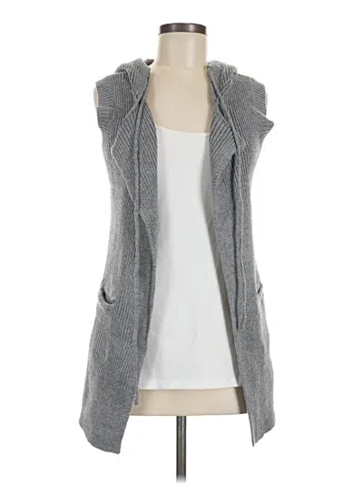 Assorted Brands Sweater Vest In Gray