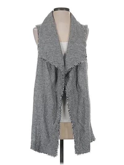 Assorted Brands Sweater Vest In Gray