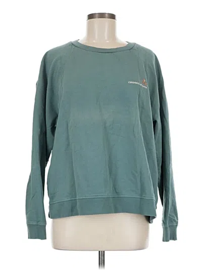 Pre-owned Assorted Brands Sweatshirt In Blue