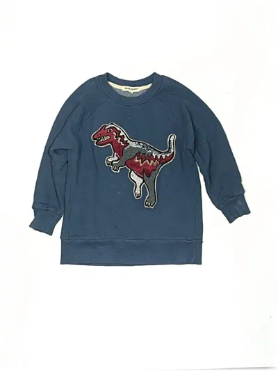 Pre-owned Assorted Brands Kids' Sweatshirt In Blue