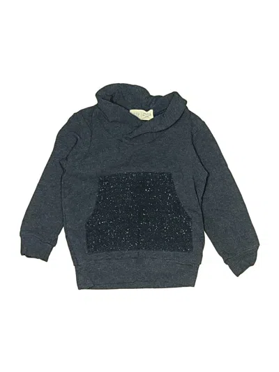 Pre-owned Assorted Brands Babies' Sweatshirt In Blue