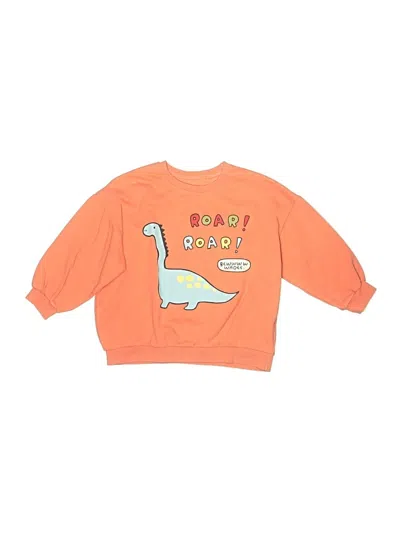 Pre-owned Assorted Brands Kids' Sweatshirt In Orange