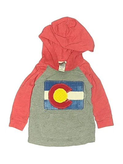 Pre-owned Assorted Brands Babies' Sweatshirt In Red