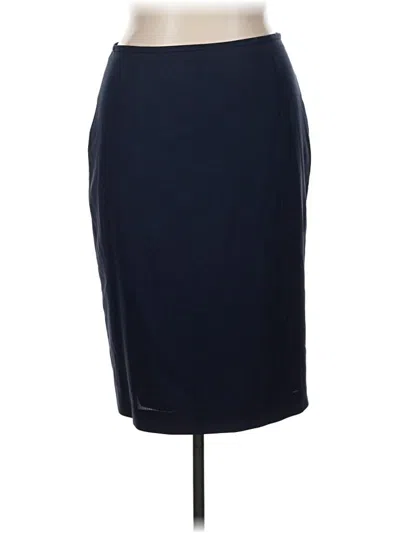 Pre-owned Assorted Brands Wool Skirt In Blue