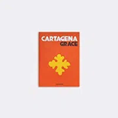 Assouline Cartagena Grace Book In Orange
