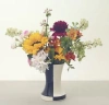 Assouline Hedwig Bollhagen Vase 338