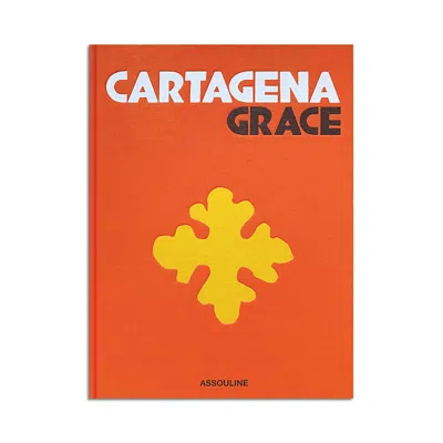 Assouline Publishing Cartagena Grace Book In Orange