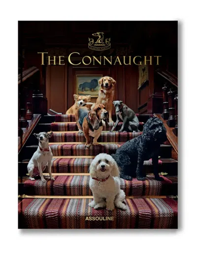 Assouline The Connaught Books In Brown