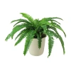 Asstd National Brand 21'' Green And Cream White Boston Fern Artificial Potted Plant In Green