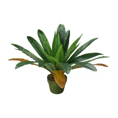 Asstd National Brand 22'' Potted Artificial Green And Brown Bird Nest Fern Plant