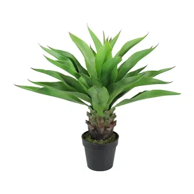 Asstd National Brand 30.5'' Brown And Green Artificial Agave Succulent Plant In A Black Pot