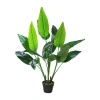 Asstd National Brand 51'' Green And Black Traveller's Artificial Tree Pot In Green