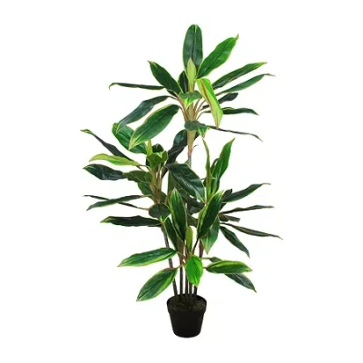 Asstd National Brand 55'' Green And Red Potted Two Tone Dracaena Artificial Plant