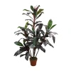 Asstd National Brand 60'' Potted Green And Red Artificial Dracaena Plant In Green
