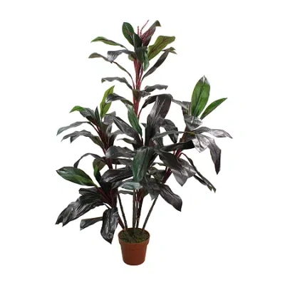 Asstd National Brand 60'' Potted Green And Red Artificial Dracaena Plant