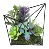 Asstd National Brand 6.75'' Artificial Succulents Arrangement In Diamond Metal Wire Frame In Purple