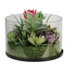 Asstd National Brand 8'' Artificial Mixed Succulent Arrangement In Round Glass Jar In Multi