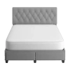 Asstd National Brand Boyd Sleep Shane Platform Bed Frame With Storage Drawers In Gray