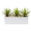 Asstd National Brand Mini Agave Artificial Plant In Rectangular Ceramic In Green