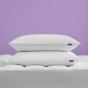 Asstd National Brand Rolled Allergen Barrier 2 Pack Soft Density Bed Pillow In White