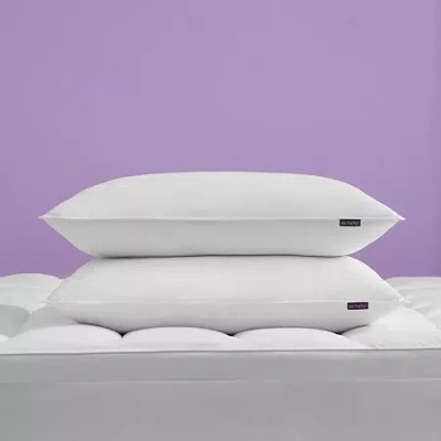 Asstd National Brand Rolled Allergen Barrier 2 Pack Soft Density Bed Pillow In White