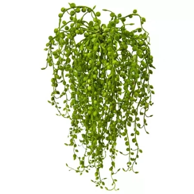 Asstd National Brand Senecio Artificial Succulent Plant; Set Of 3 In Green