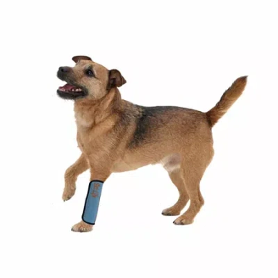 Asstd National Brand The Pet Life Extreme-neoprene Joint Protective Reflective Pet Sleeves In Blue