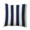 Asstd National Brand Vertical Stripes Square Throw Pillow In Blue