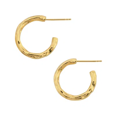 Assuwa Women's Galatea Gold Hoop Earrings