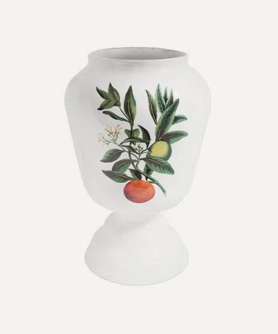 Astier De Villatte Large Bitter Orange Vase In White