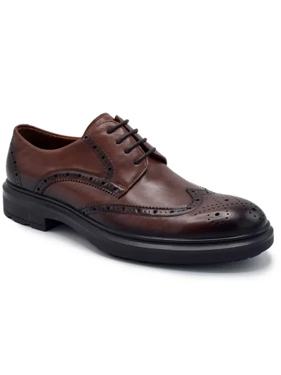 Aston Marc Mens Faux Leather Wingtip Oxfords In Brown