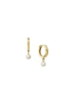 Astor & Orion Paloma Huggies In Gold