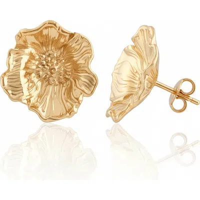 Astor & Orion Poppy Studs Gold
