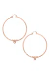 Astor & Orion Women's Amorette Hoop Earrings In Rose Gold In Gold