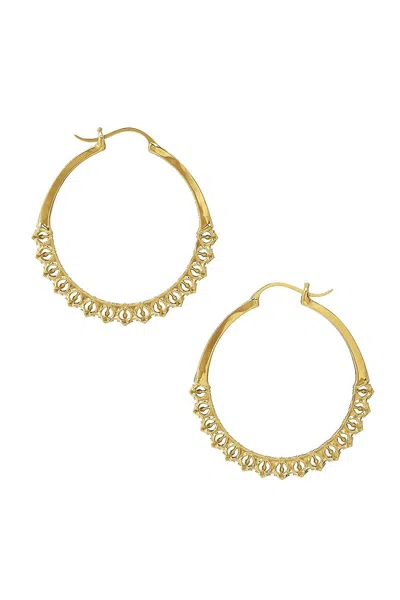 Astor & Orion Women's Calla Lightweight Hoops Gold Small