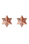 Astor & Orion Women's Star Studs In Rose Gold In Pink